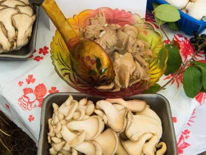 В СУББОТУ В ОБНИНСКЕ ВНОВЬ ПОЯВЯТСЯ «ОБЖОРНЫЕ РЯДЫ»