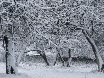 Непогода в Калужской области: морозы до -6 градусов