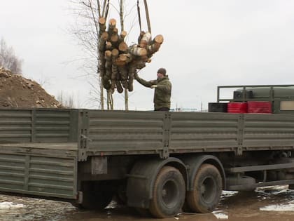 Более 80 кубометров леса отправилось из Калуги на передовую