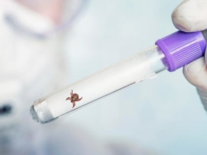 Не расслабляться!