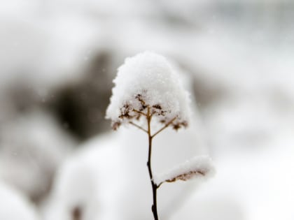 С января начнется то, чего не было с 1820 года: синоптики призывают готовиться к настоящему климатическому безумию