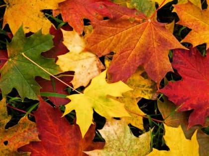 О приходе зимы говорить ещё рано