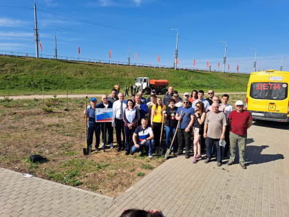 Спортсмены высадили сосны в сквере Волкова