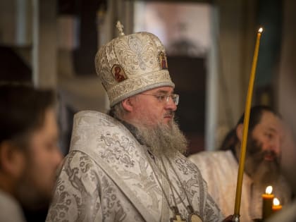 Новогоднее поздравление епископа Козельского и Людиновского НИКИТЫ