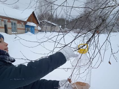 АКЦИЯ «ПОДКОРМИ ПТИЦ ЗИМОЙ». ВОЛОСОВО-ДУДИНСКАЯ СЕЛЬСКАЯ БИБЛИОТЕКА