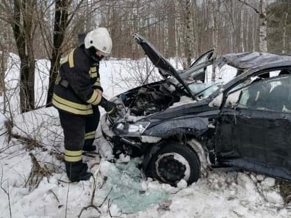 Автомобиль улетел в кювет в Жиздринском районе