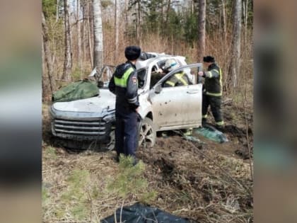 Машина вылетела с дороги и врезалась в дерево в Козельском районе