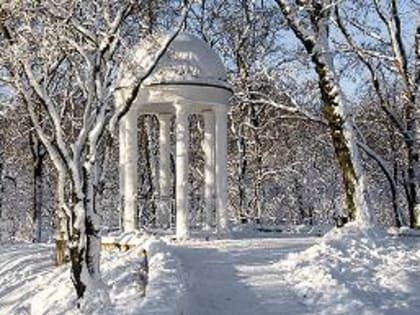 Морозы окрепнут к концу следующей недели