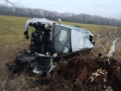 «Шкода» снесла дерево в Калужской области
