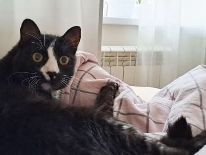 МЧС передает штормовое предупреждение на 14 и 15 марта