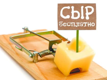 «Бесплатный сыр в мышеловке» за полтора миллиона рублей