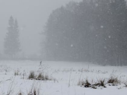12 марта в Калужской области весь день будет бушевать непогода