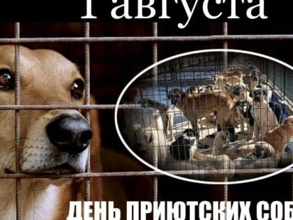 Сегодня День приютских собак