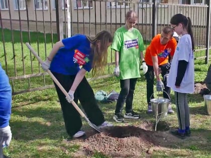 В память о героях Великой Отечественной и СВО в Людинове высадили "Сад памяти"