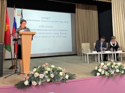 Отчет главы администрации городского поселения города Жуков за 2022 год