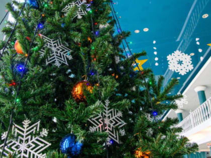 Шапша принял участие в Рождественской епархиальной ёлке