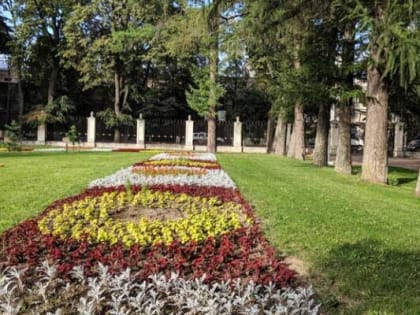 В Калуге от клещей обработали 20 общественных территорий