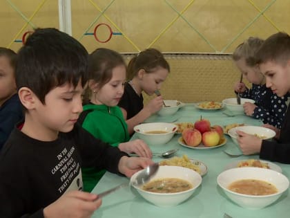 Депутаты регионального Заксобрания проверяют питание в школьных столовых