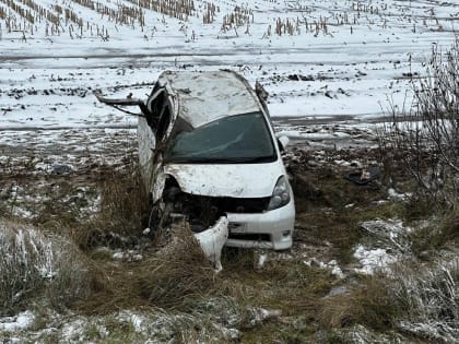 В ДТП в Калужской области пострадали три человека