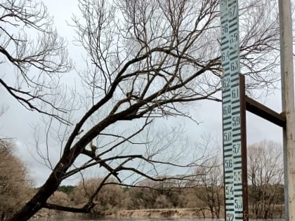 Вода в Угре за сутки поднялась на два метра