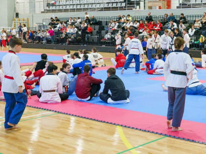 Калужская сборная по тхэквондо завоевала 13 наград на чемпионате и первенстве ЦФО