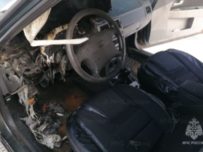 В Людинове загорелся автомобиль