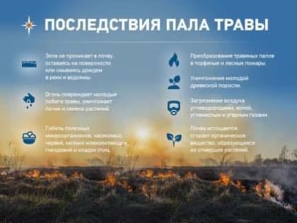 Берегите леса!