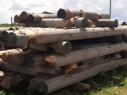 Калужская область экспортировала свыше 13000 кубометров древесины