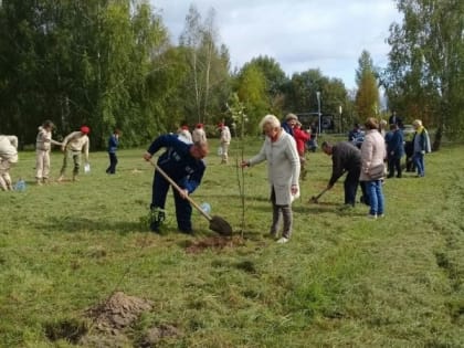 В Ульяновском районе на одну аллею стало больше