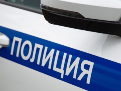 АЛЬТРУИСТ ИЛИ ПРЕСТУПНИК?