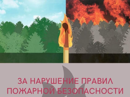 В Боровском лесничестве ликвидирован в день обнаружения лесной пожар