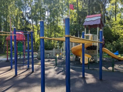 В первую неделю каникул калужская скорая помощь выезжала на детские травмы 57 раз