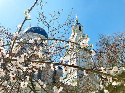 В Калугу возвращается летнее тепло