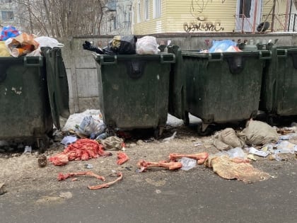 В Калуге массово выбрасывают кости животных на улице