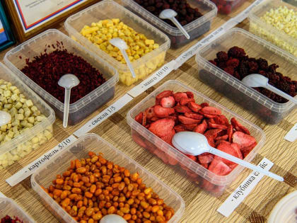 В Калужской области появится кондитерский завод «Микаелло»