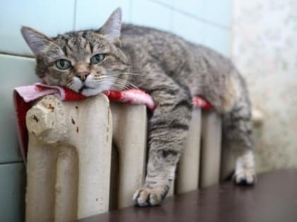 СЕГОДНЯ ДО КОНЦА ДНЯ БАТАРЕИ ВО ВСЕХ ОБНИНСКИХ ДОМАХ СТАНУТ ХОЛОДНЫМИ