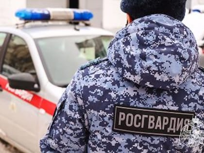 Обнинские росгвардейцы помогли полиции задержать подозреваемого в краже товара на сумму более трёх тысяч рублей
