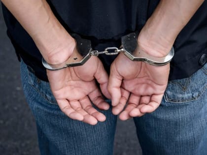 ПРИКЛЮЧЕНИЯ ЗАКОНЧИЛИСЬ: ГОРОЖАНИН «ПОЙДЁТ» ПО ТРЁМ СТАТЬЯМ