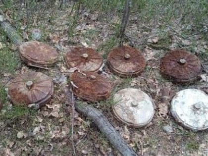 Калужские взрывотехники обезвредили 10 снарядов времен ВОВ