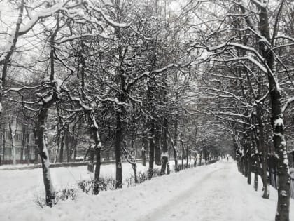 В Калужской области будет ветрено и скользко
