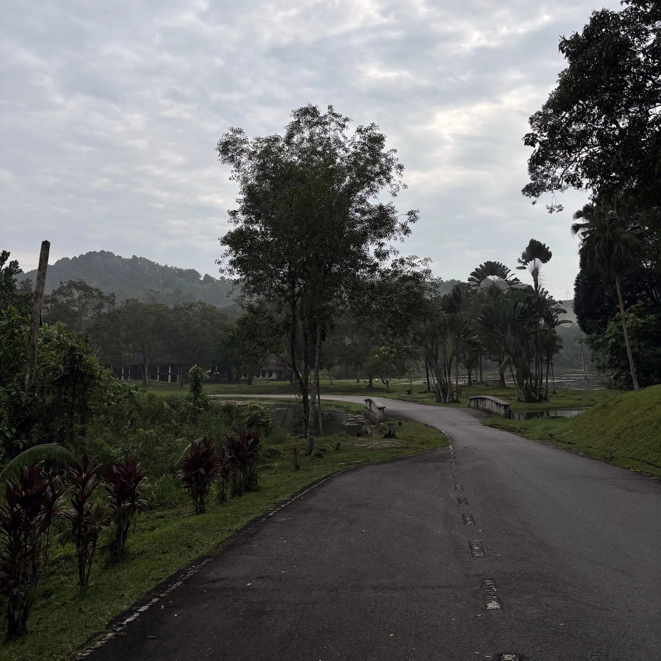 A paved road with a bench on the side.