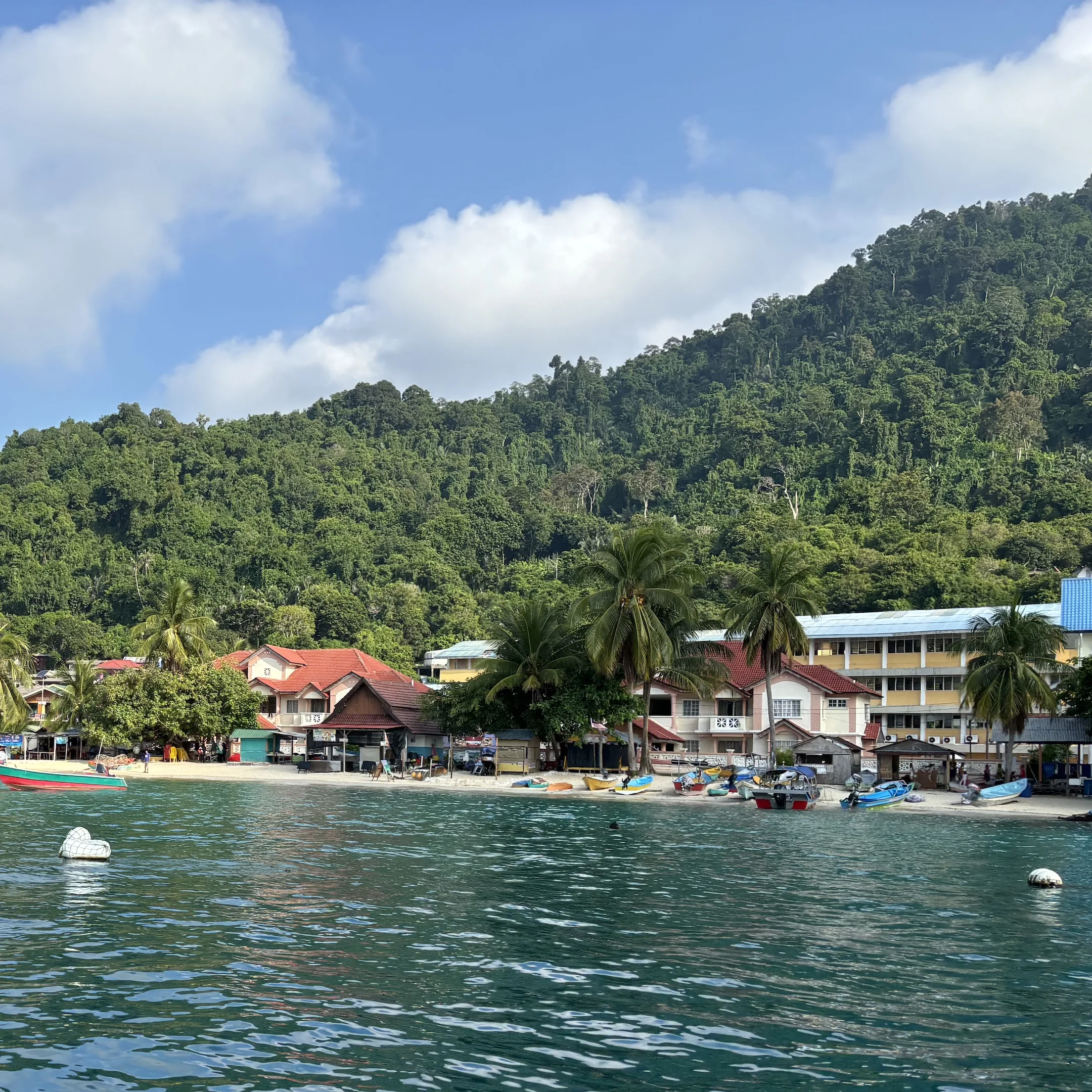 A view of a beach with a mountain in the background.