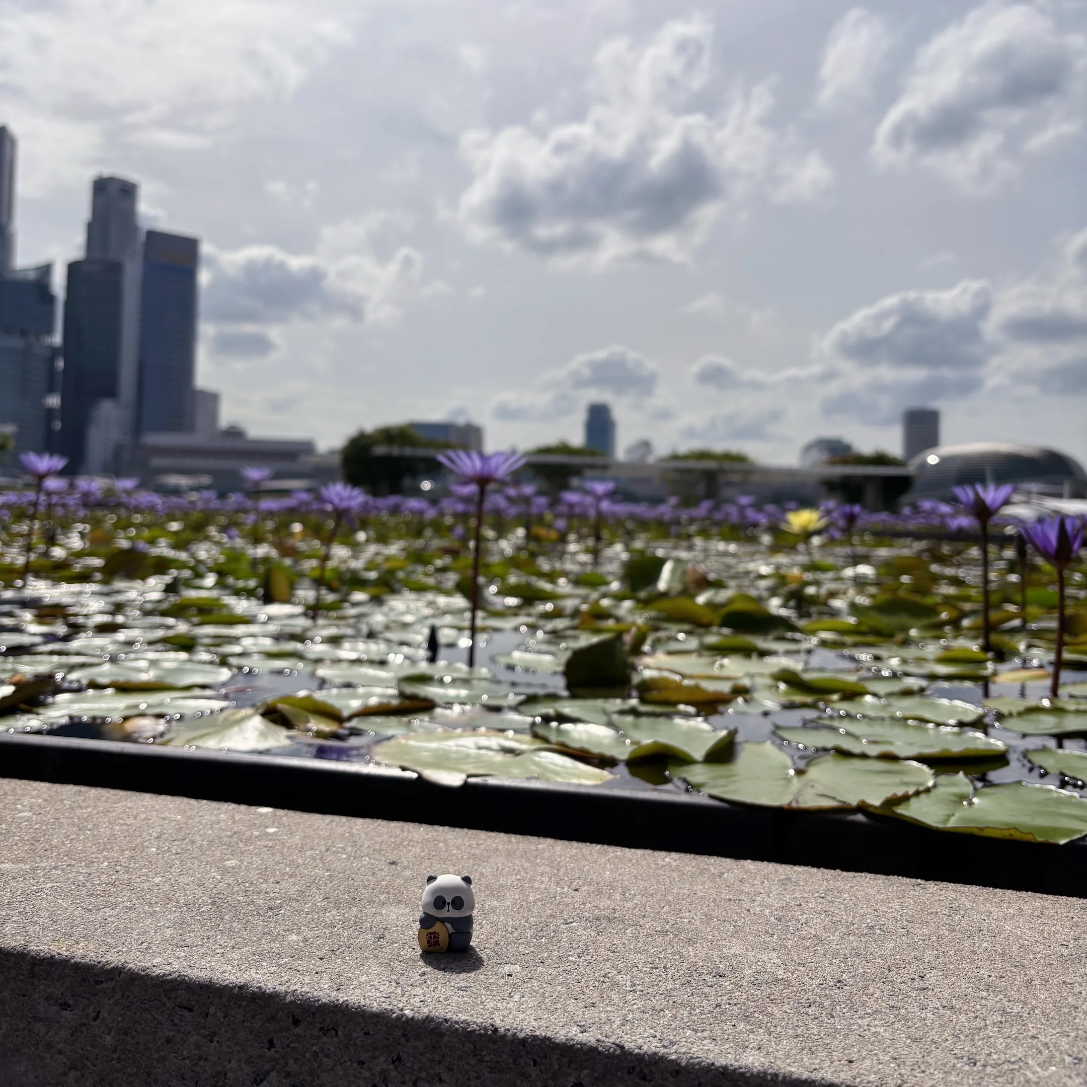 A bird sitting on a ledge in a pond.