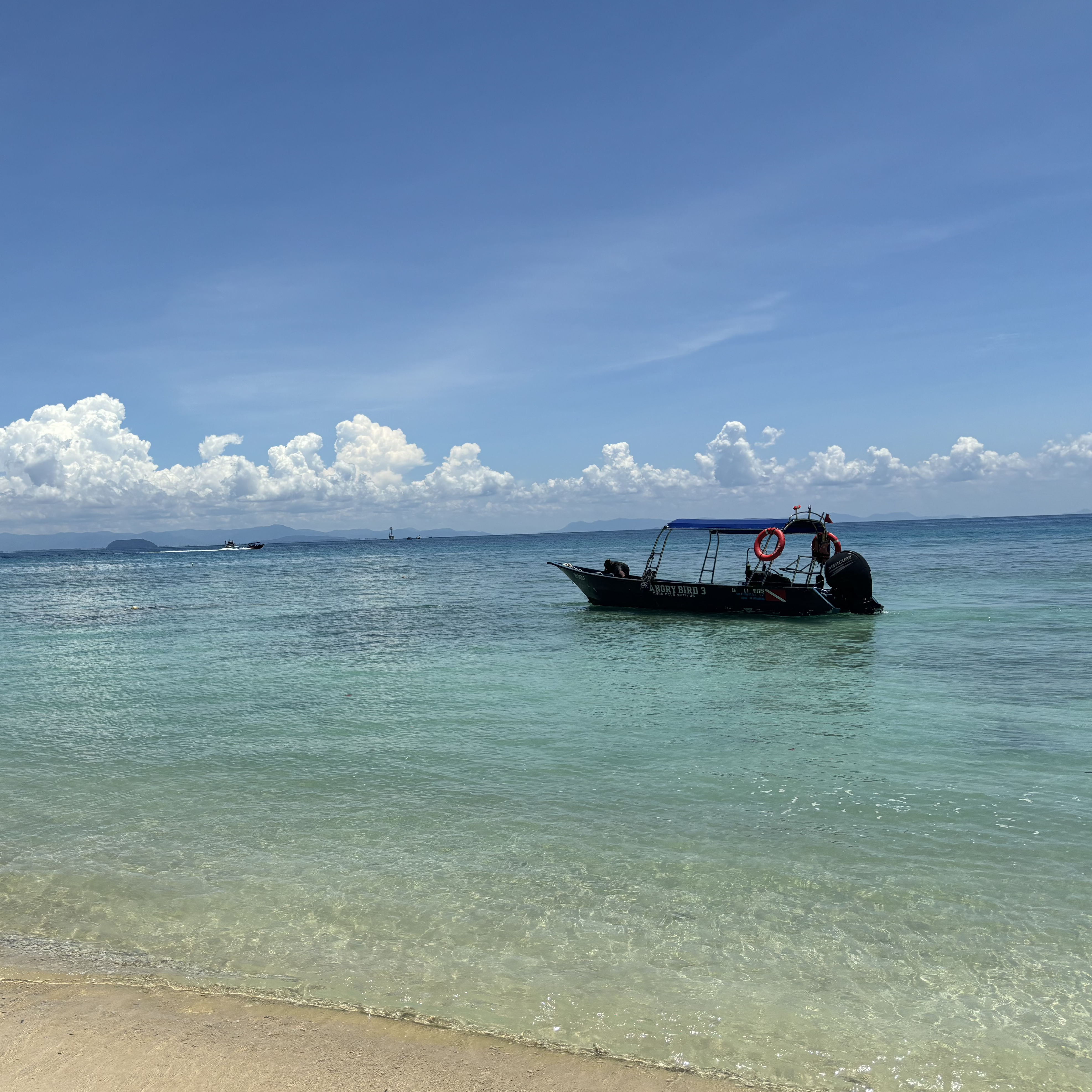 A boat is in the water on a beach.