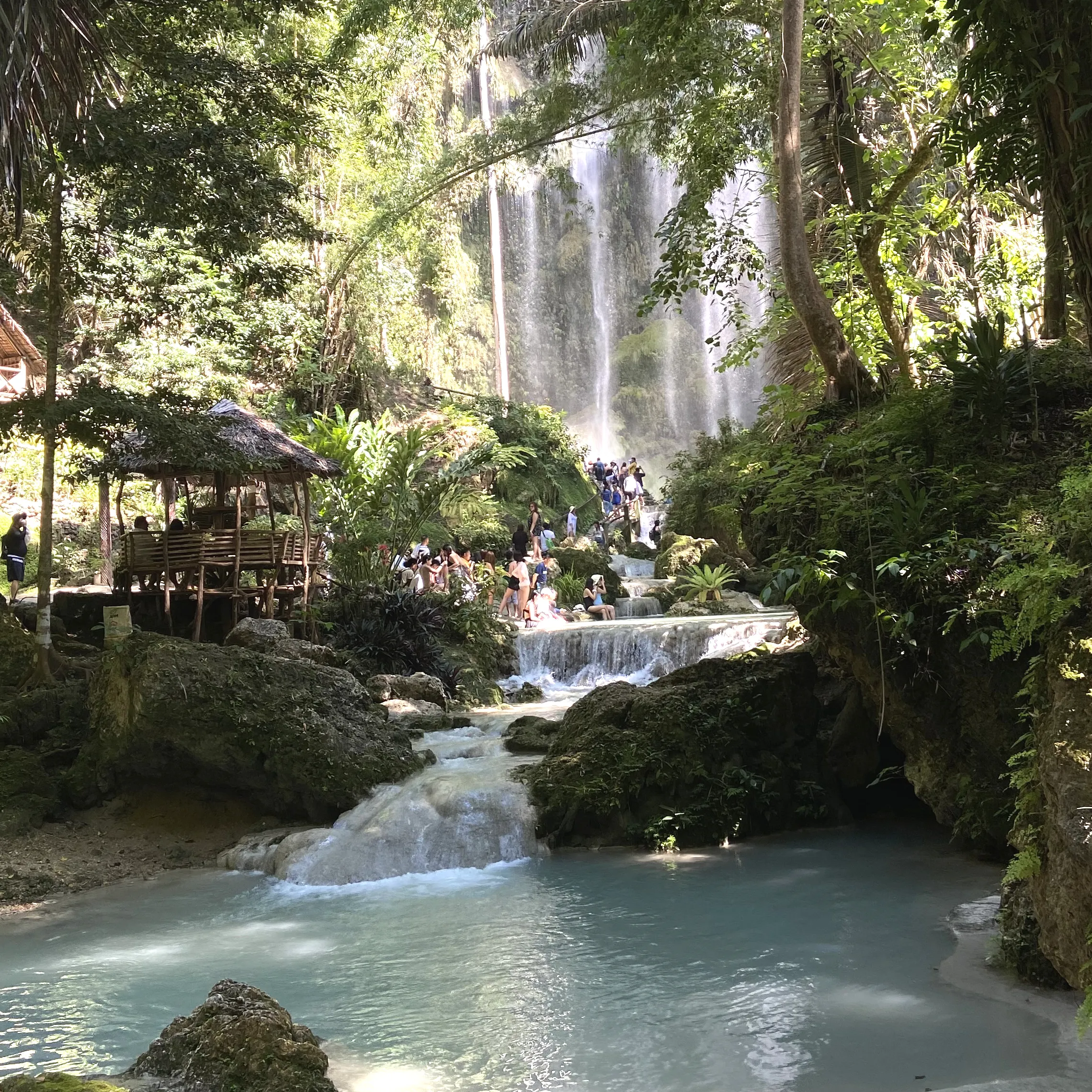 A waterfall in the middle of a forest.