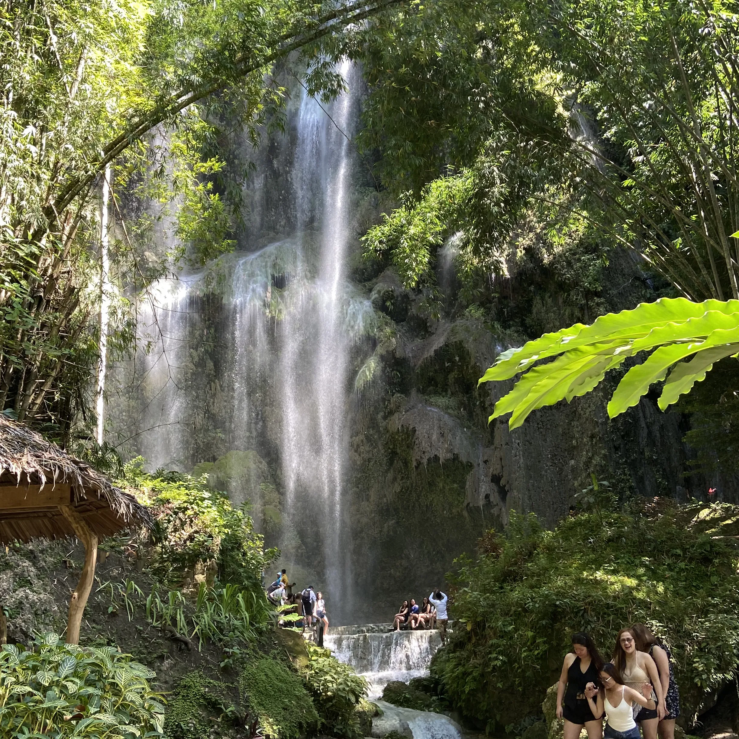 A waterfall in the jungle with people standing around it.