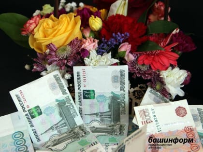 Башкортостан получит крупную федеральную субсидию