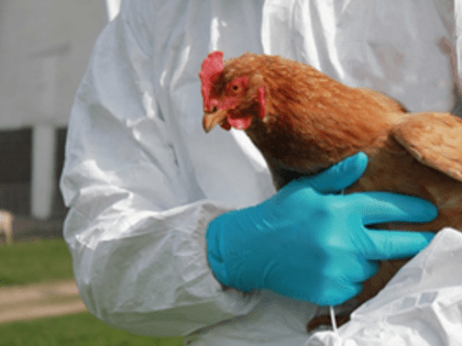 Ограничения на ввоз продукции из США и Турции