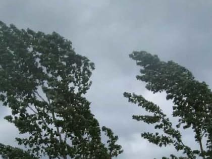 Летние фестивали: как они меняют жизнь города