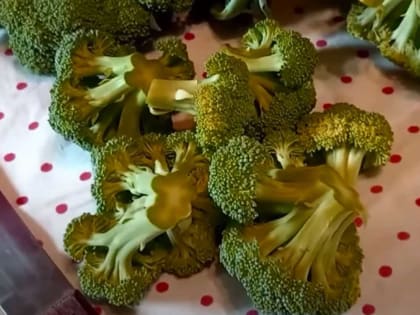 Спасите свой урожай брокколи и цветной капусты: 3 главные причины отсутствия завязей и натуральное решение проблемы